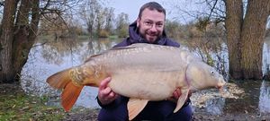 Mirror Carp