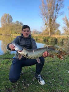 Northern Pike
