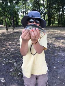 Largemouth Bass