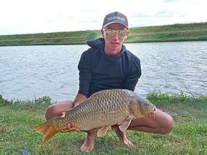 Common Carp