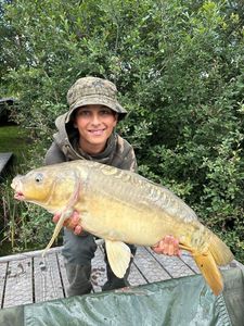 Mirror Carp