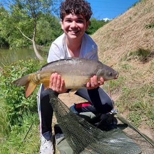 Mirror Carp