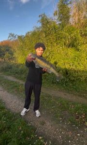 Zander