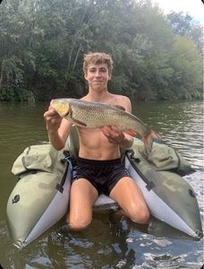 Chub