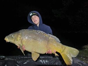 Mirror Carp