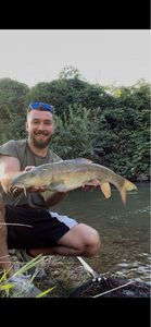 Barbel