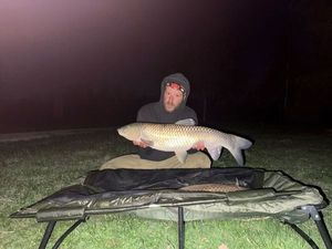 Grass Carp