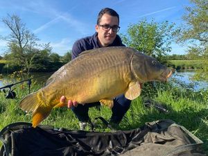 Mirror Carp