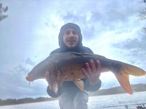 Mirror Carp