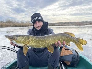 Northern Pike