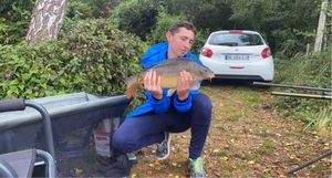Mirror Carp