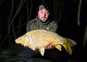 Mirror Carp