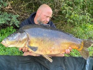 Mirror Carp