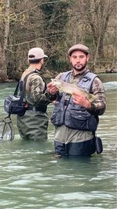 Brown Trout