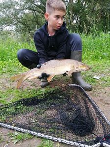 Barbel