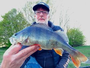 European Perch