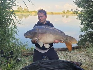 Mirror Carp
