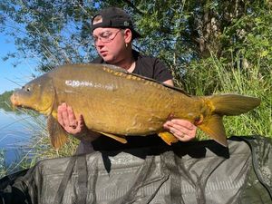 Mirror Carp