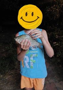 Goldfish