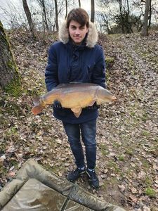 Mirror Carp