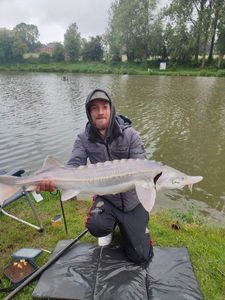 Sturgeon