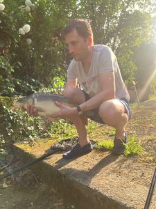 Mirror Carp
