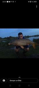 Common Carp
