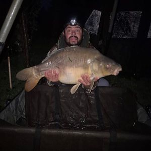Mirror Carp