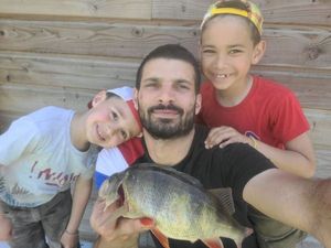 European Perch