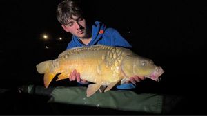 Mirror Carp