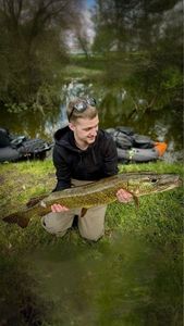 Northern Pike
