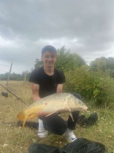 Common Carp