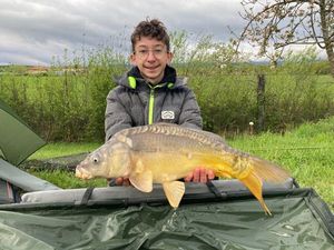 Mirror Carp