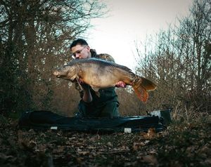Mirror Carp