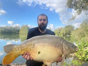 Mirror Carp