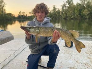 Northern Pike