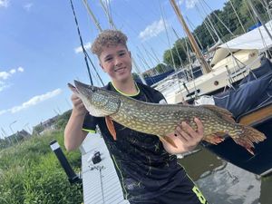 Northern Pike