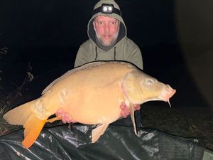 Mirror Carp