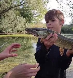 Northern Pike