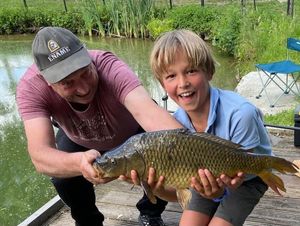 Common Carp