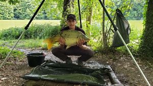 Mirror Carp