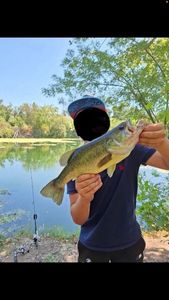 Smallmouth Bass