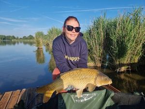 Common Carp