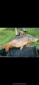 Leather Carp
