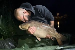 Mirror Carp