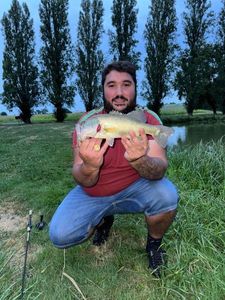 Largemouth Bass