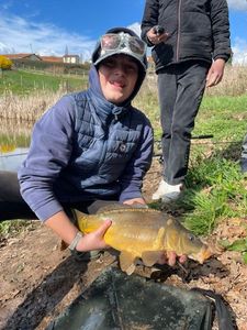 Mirror Carp