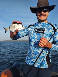 White Seabream