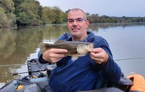 Largemouth Bass
