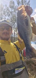 Largemouth Bass